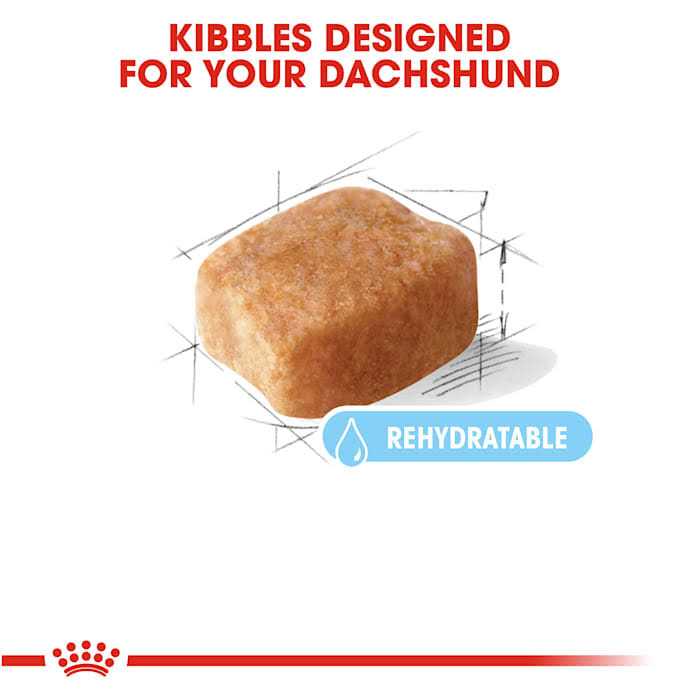 Royal Canin Breed Health Nutrition Dachshund 8+ Adult Dry Dog Food - Nail Gallerys