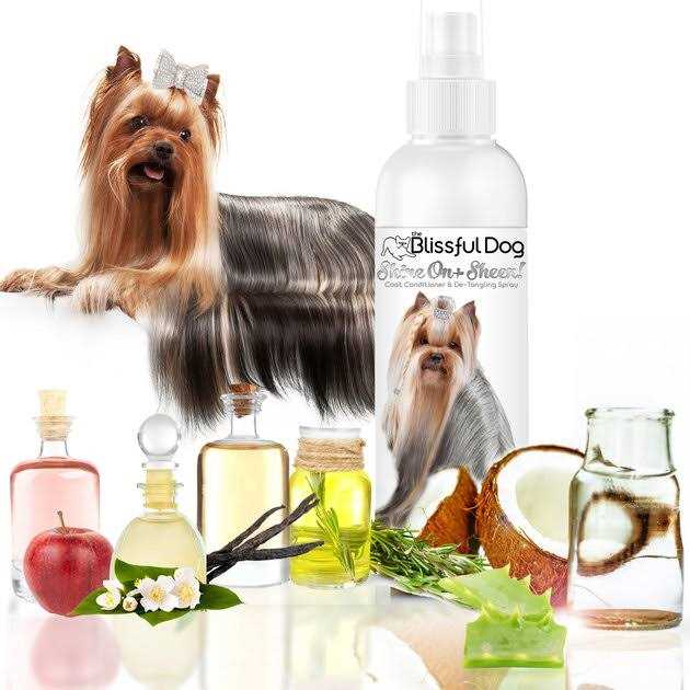 The Blissful Dog Shine-On + Sheen Coat Spray, All Natural, Leave-in Conditioner and Coat Detangler for Your Dog - Nail Gallerys
