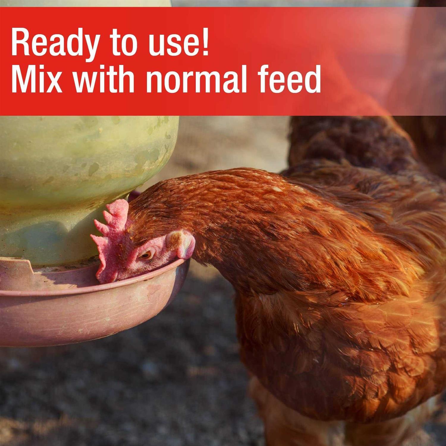 Cherry Stone Poultry Grit - Nail Gallerys