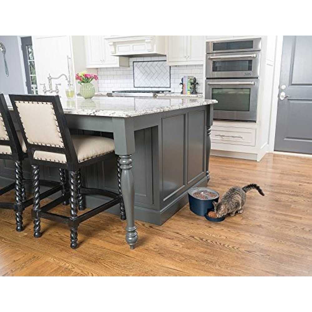 PetSafe Six Meal Automatic Pet Feeder - Nail Gallerys