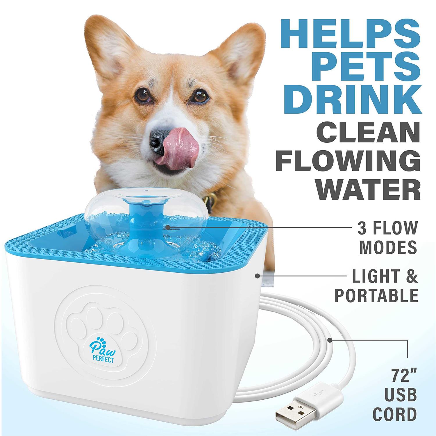 Paw Perfect Dog & Cat Filtered Water Fountain - Nail Gallerys
