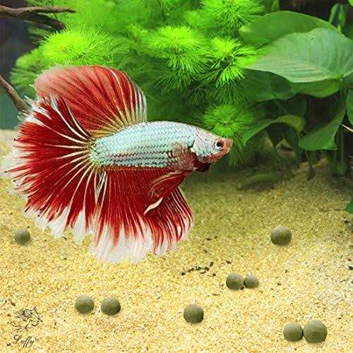 SunGrow Mineral Balls for Betta Water Conditioner with Over 30 Beneficial Elements - Nail Gallerys