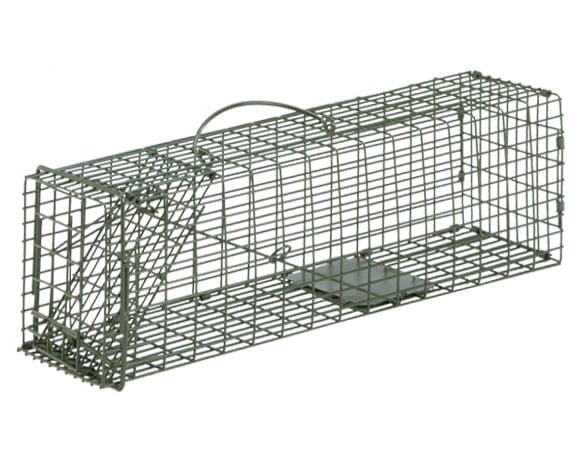 Duke Cage Traps Humane Live Animal  Catch Cage - Nail Gallerys