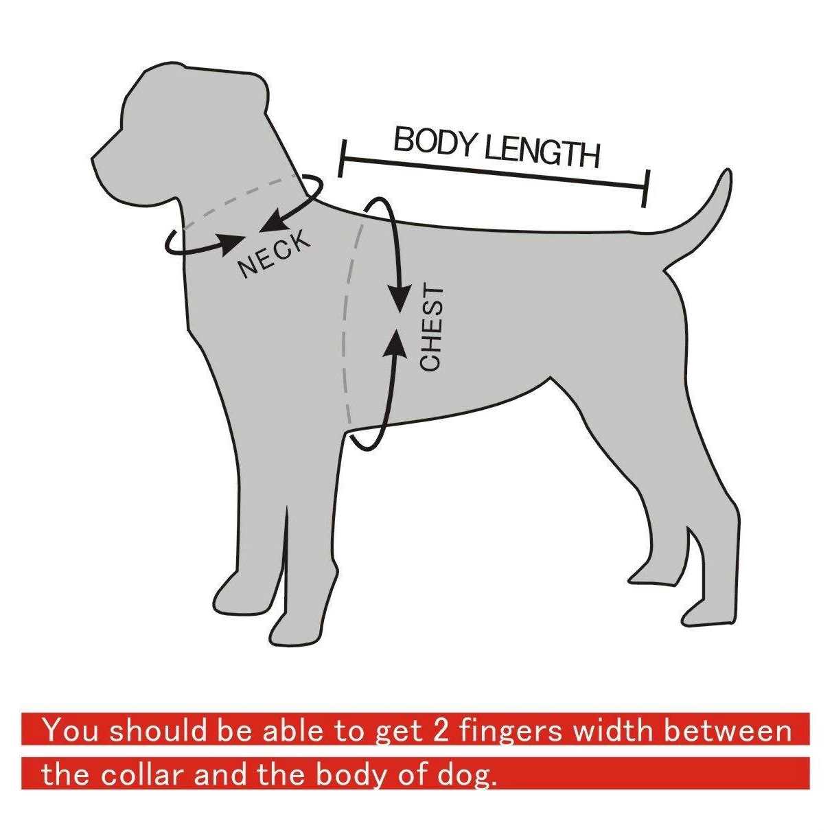 Berry Pet Black Leather Spikes Studded Medium & Large Dog Collar & Leash & Harness 3 Pcs Set for Pitbull Boxer - Nail Gallerys