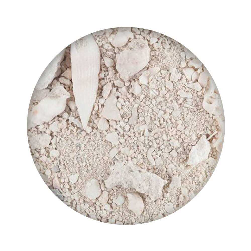 CaribSea Ocean Direct Natural Live Sand - Nail Gallerys