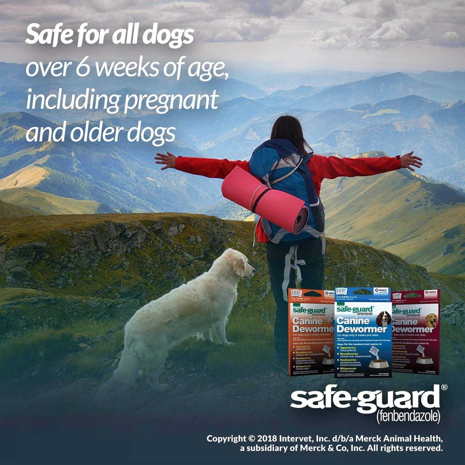 Safe-Guard Canine Dewormer - Nail Gallerys