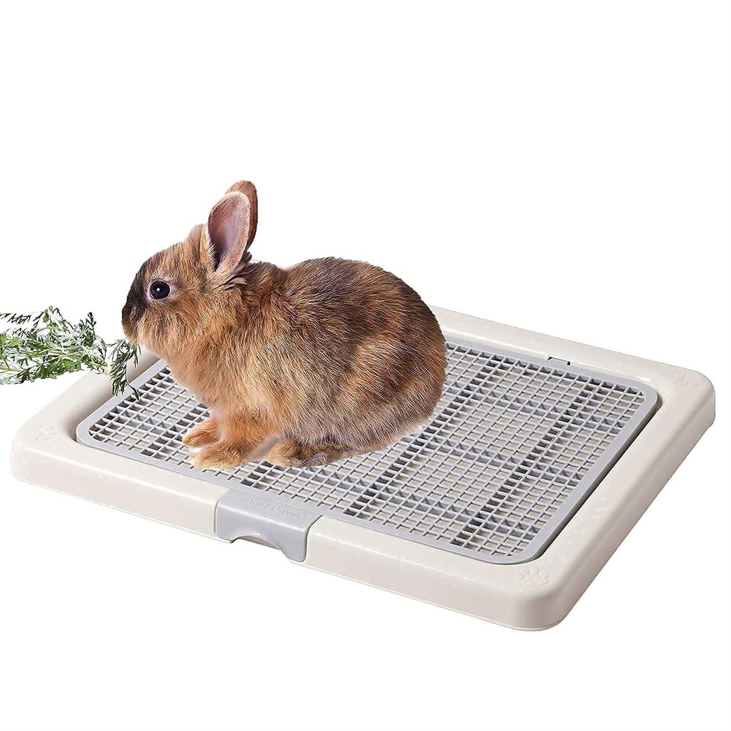 Smart Paws 3 Sizes Small Puppy Dog Toilet,Poodles Training Tray,Yorkie Pet Pads Holder - Nail Gallerys