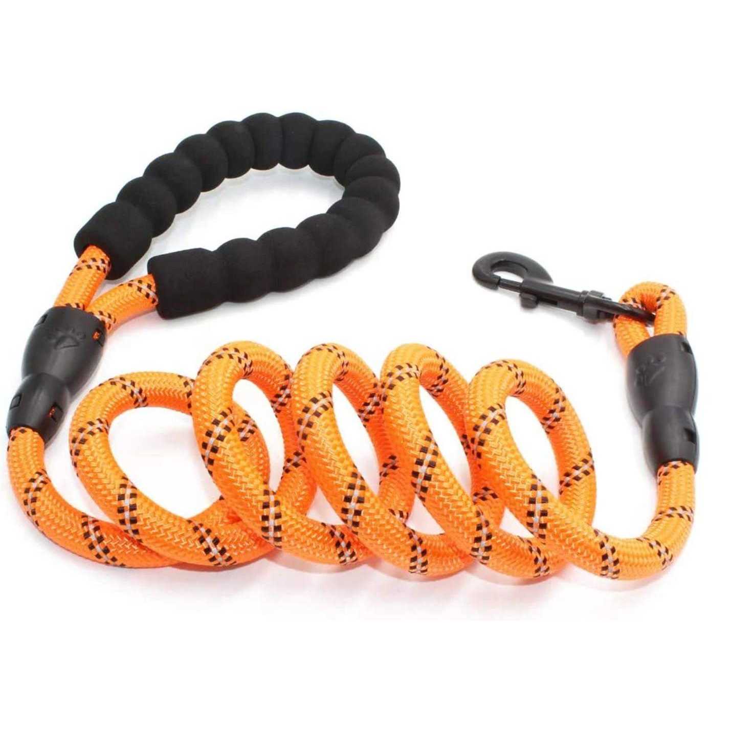 Doggy Tales Braided Dog Leash - Nail Gallerys