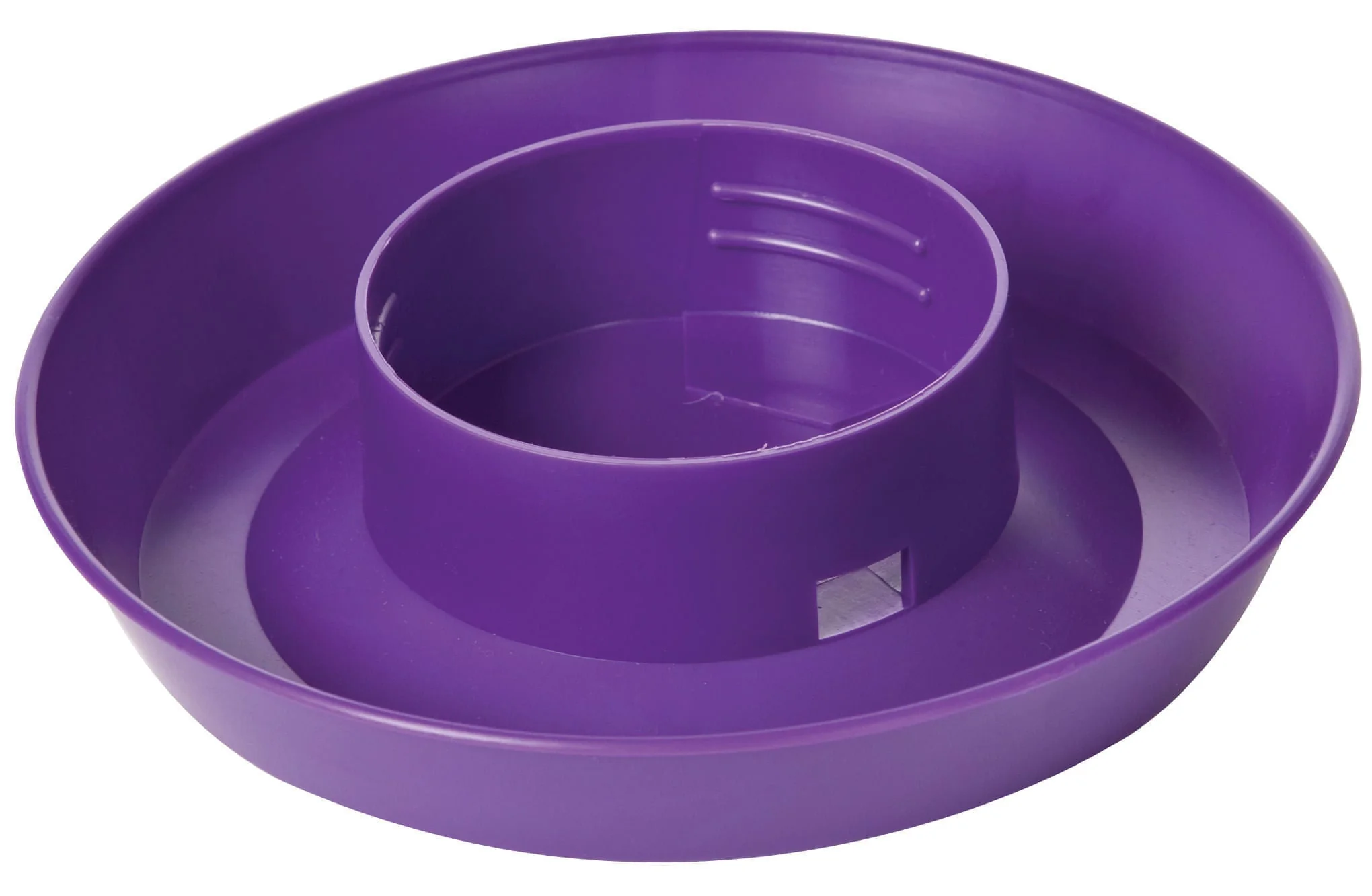 Little Giant Color Chick Waterer Base, Quart - Nail Gallerys