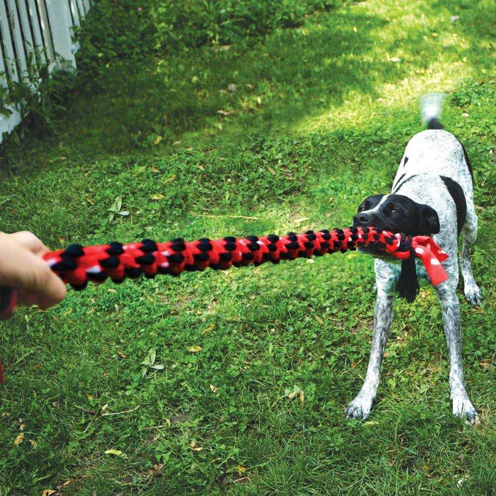 KONG Signature Double Tug Rope Dog Toy - Nail Gallerys