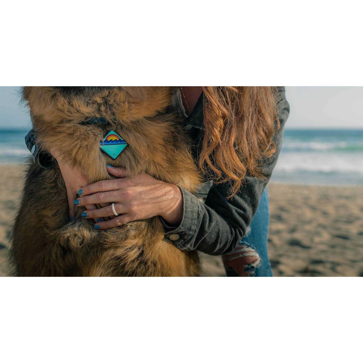 QALO TraQ Dog Silicone ID Tag - Nail Gallerys