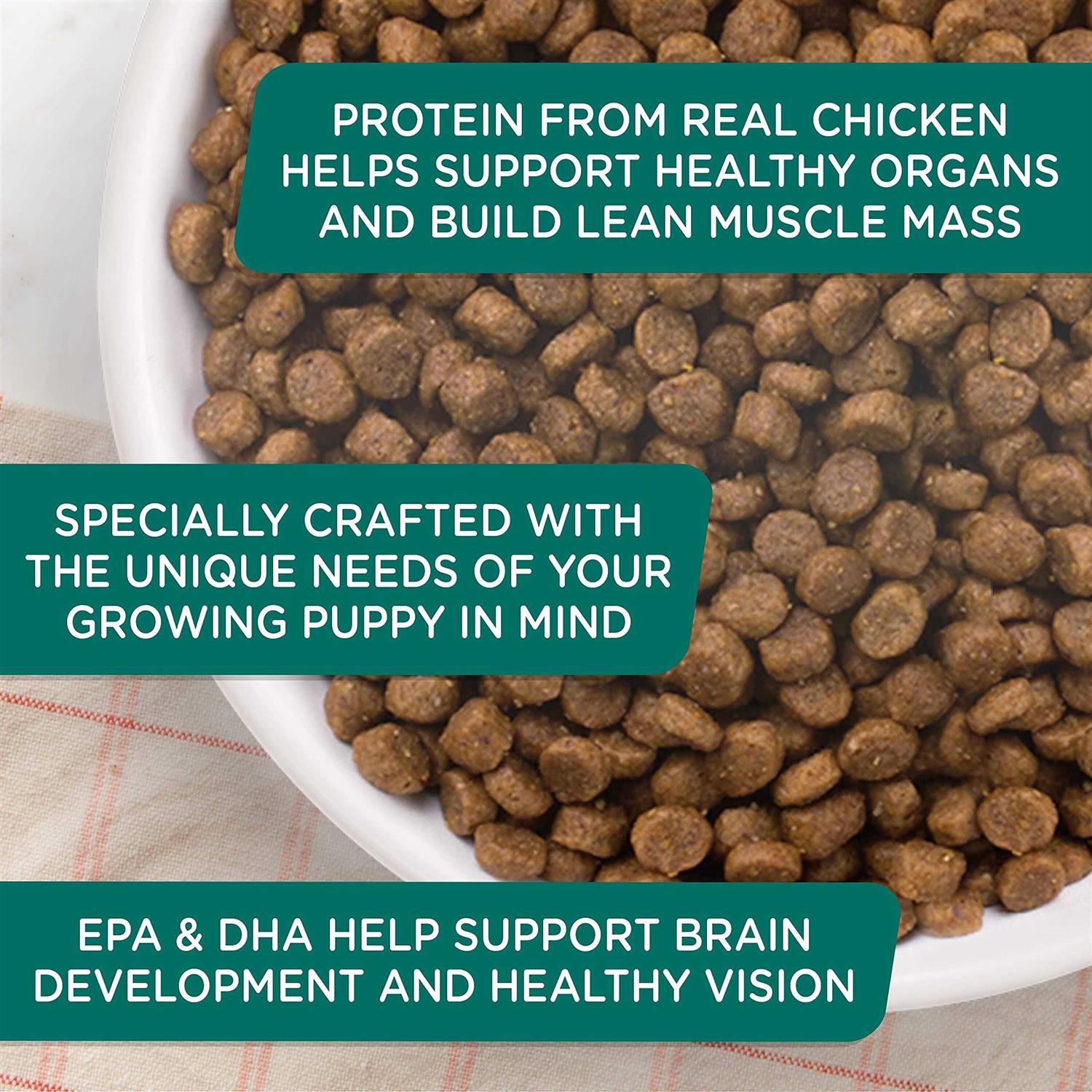 Rachael Ray Nutrish Bright Puppy Dry Dog Food Real Chicken & Brown Rice Recipe - Nail Gallerys