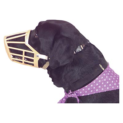 Plastic Dog Muzzles w/ Nylon Web Adjustment Straps - Nail Gallerys