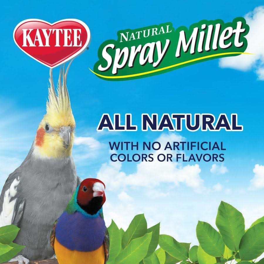 Kaytee Spray Millet - Nail Gallerys