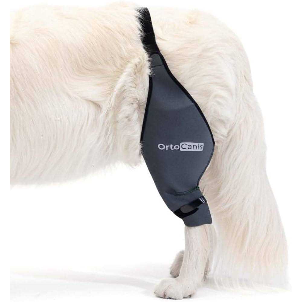 Ortocanis Knee Brace for Dogs with Cruciate Ligament Injuries, Patella Dislocation or Osteoarthritis - Nail Gallerys