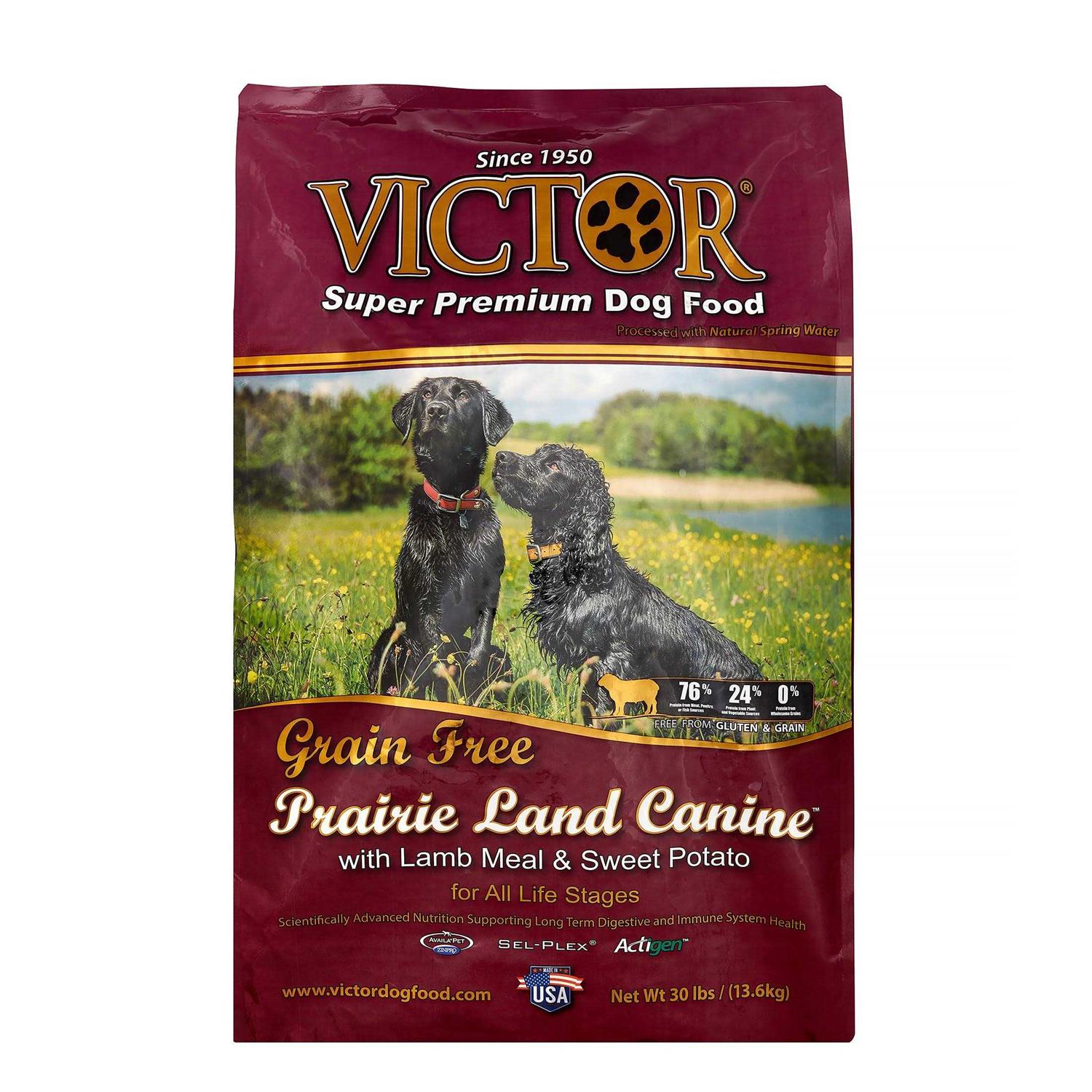 Victor Grain Free Lamb Meal Dry Dog Food - Nail Gallerys