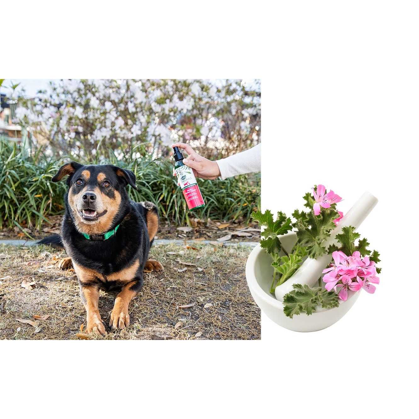 Ark Naturals Neem Protect Spray - Nail Gallerys