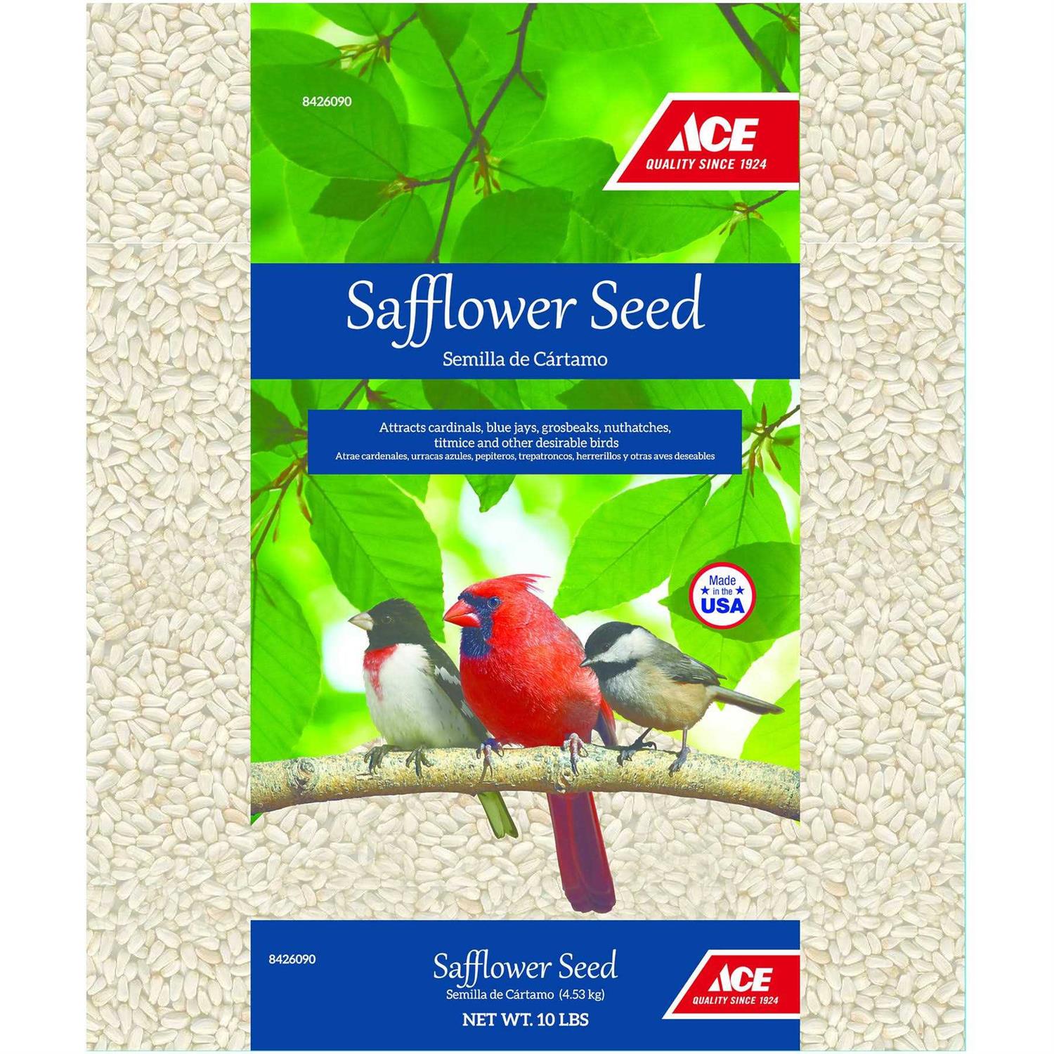 Safflower Ace - Nail Gallerys