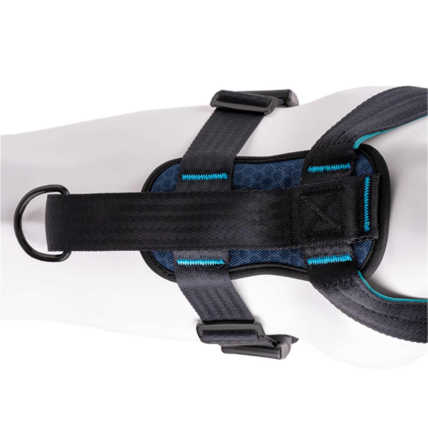 Carsafe Crash Tested Dog Harness - Nail Gallerys