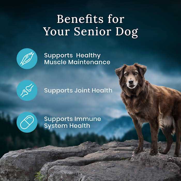 Blue Buffalo Blue Wilderness Premier Blend with Meaty Cuts Chicken Senior Dry Dog Food - Nail Gallerys