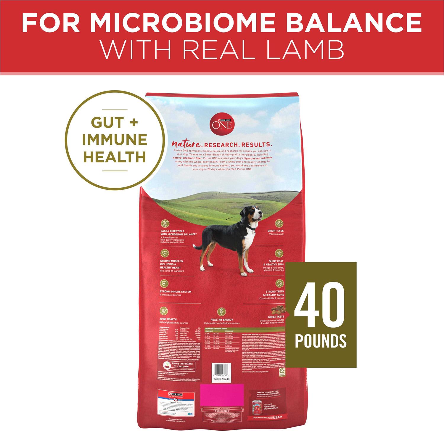 Purina ONE SmartBlend Lamb & Rice Dry Dog Food - Nail Gallerys