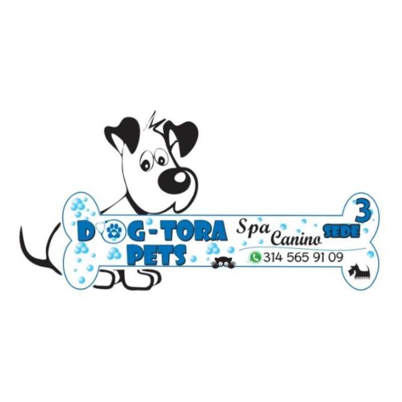 Royal Canin Puppy Loaf in Sauce Canned Dog Food - Nail Gallerys