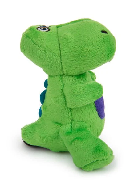 T-Rex Dog Toy - Nail Gallerys
