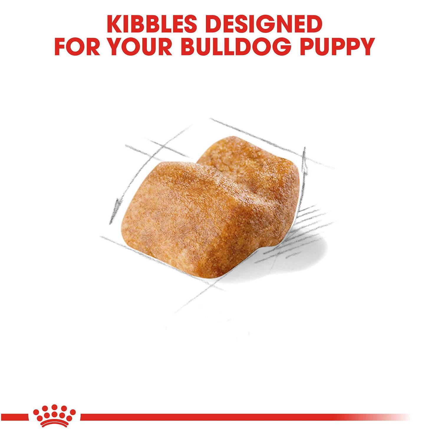 Royal Canin Bulldog Puppy Dry Dog Food - Nail Gallerys