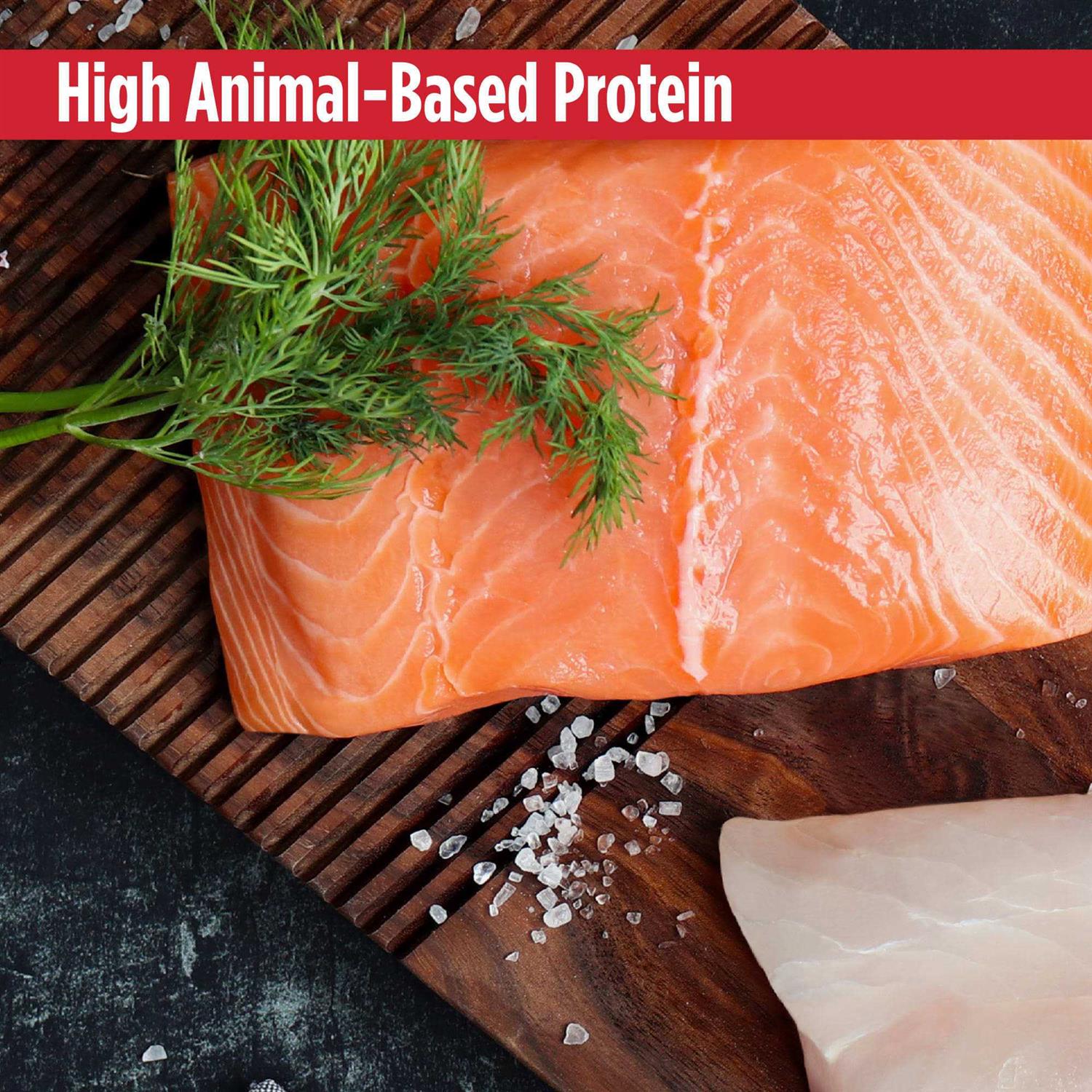 Nulo MedalSeries Adult Grain Free Salmon & Sweet Potato Dry Dog Food - Nail Gallerys