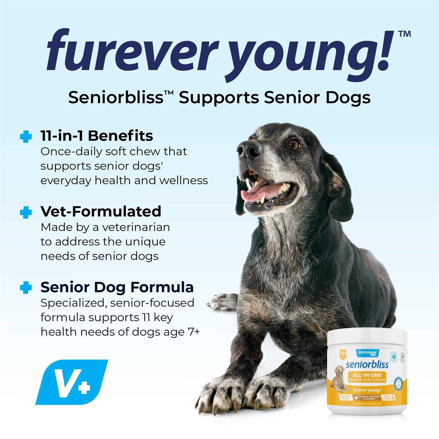 Seniorbliss Supplement for Senior Dogs - Nail Gallerys