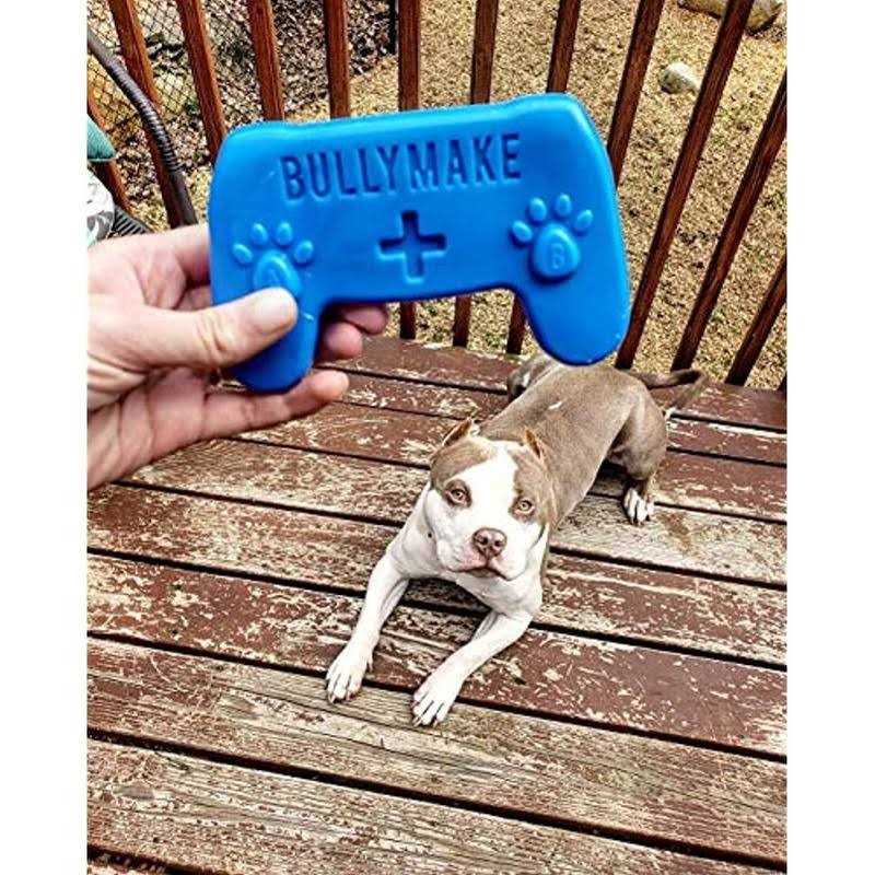 BULLYMAKE Controller Dog Toy - Nail Gallerys