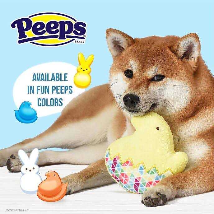 Peeps for Pets Chick 5 Inch Flattie Plush Dog Toy - Nail Gallerys