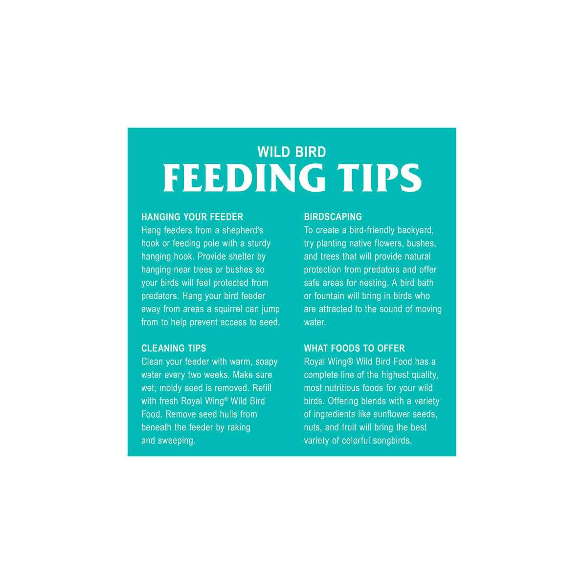 Royal Wing Mealworm Suet Wild Bird Food SKU 1883348 - Nail Gallerys