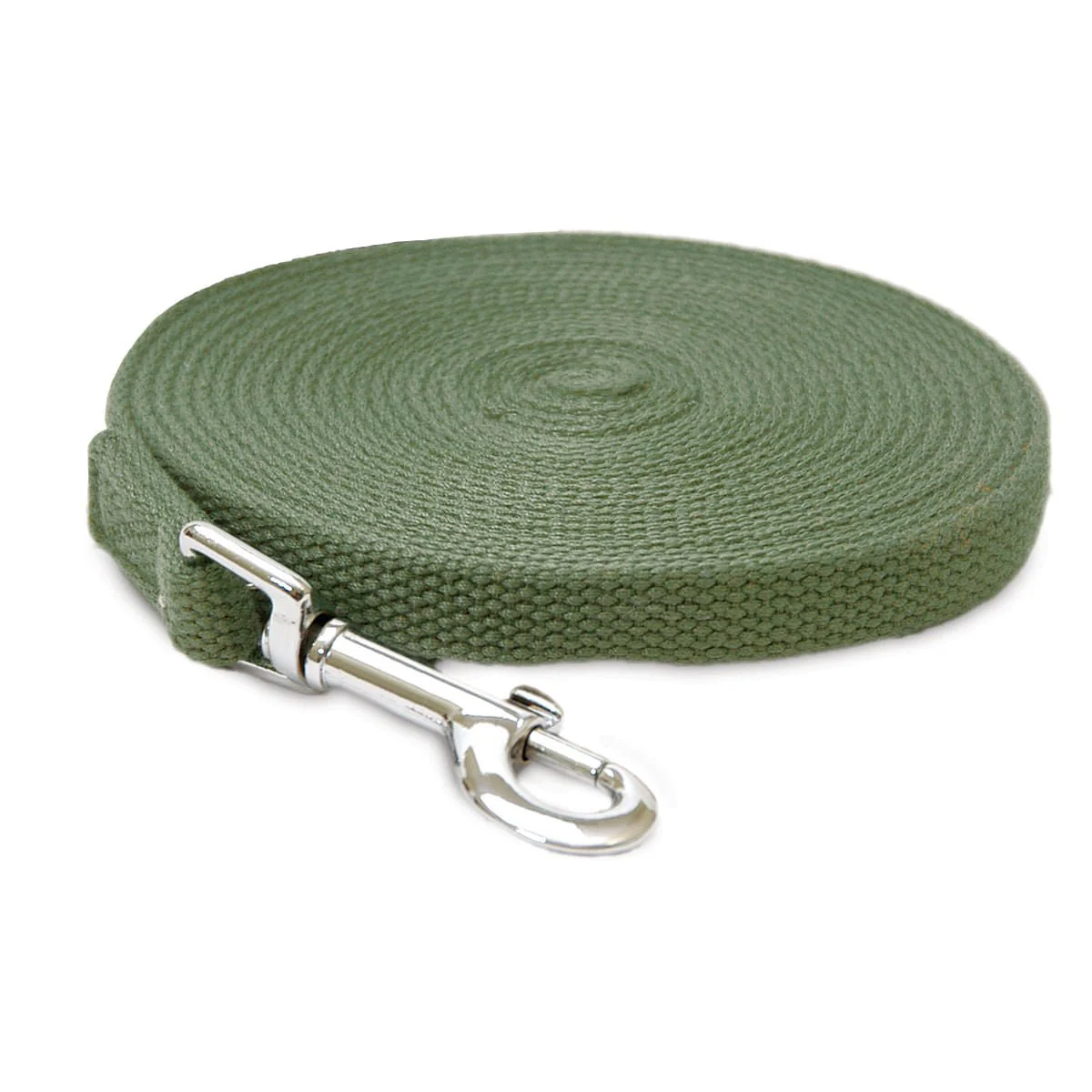 Cotton Web Dog Training Lead, 6' - Nail Gallerys