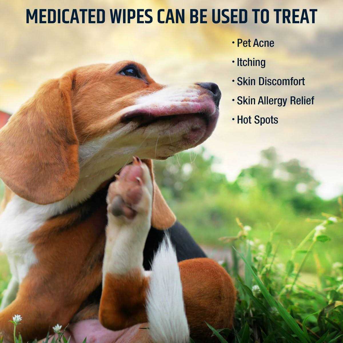 Pet MD Chlorhexidine Dog & Cat Wipes - Nail Gallerys
