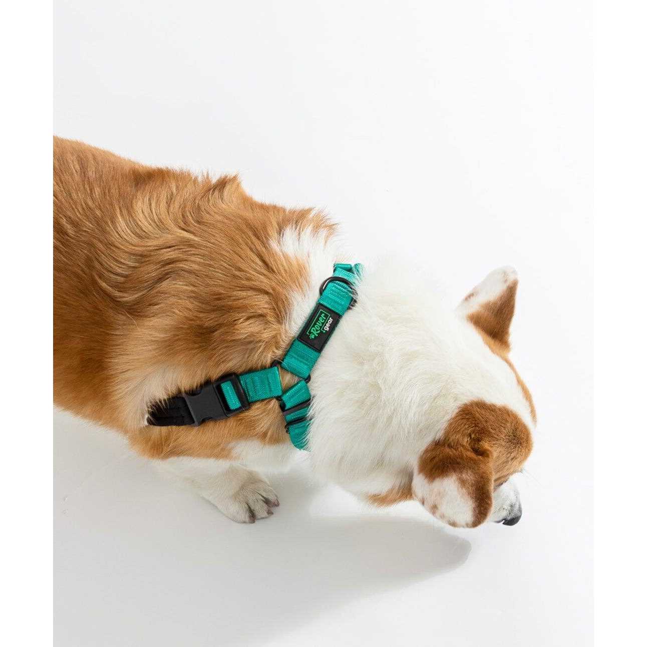 Rover Gear Better Walk No-Pull dog Harness - Nail Gallerys