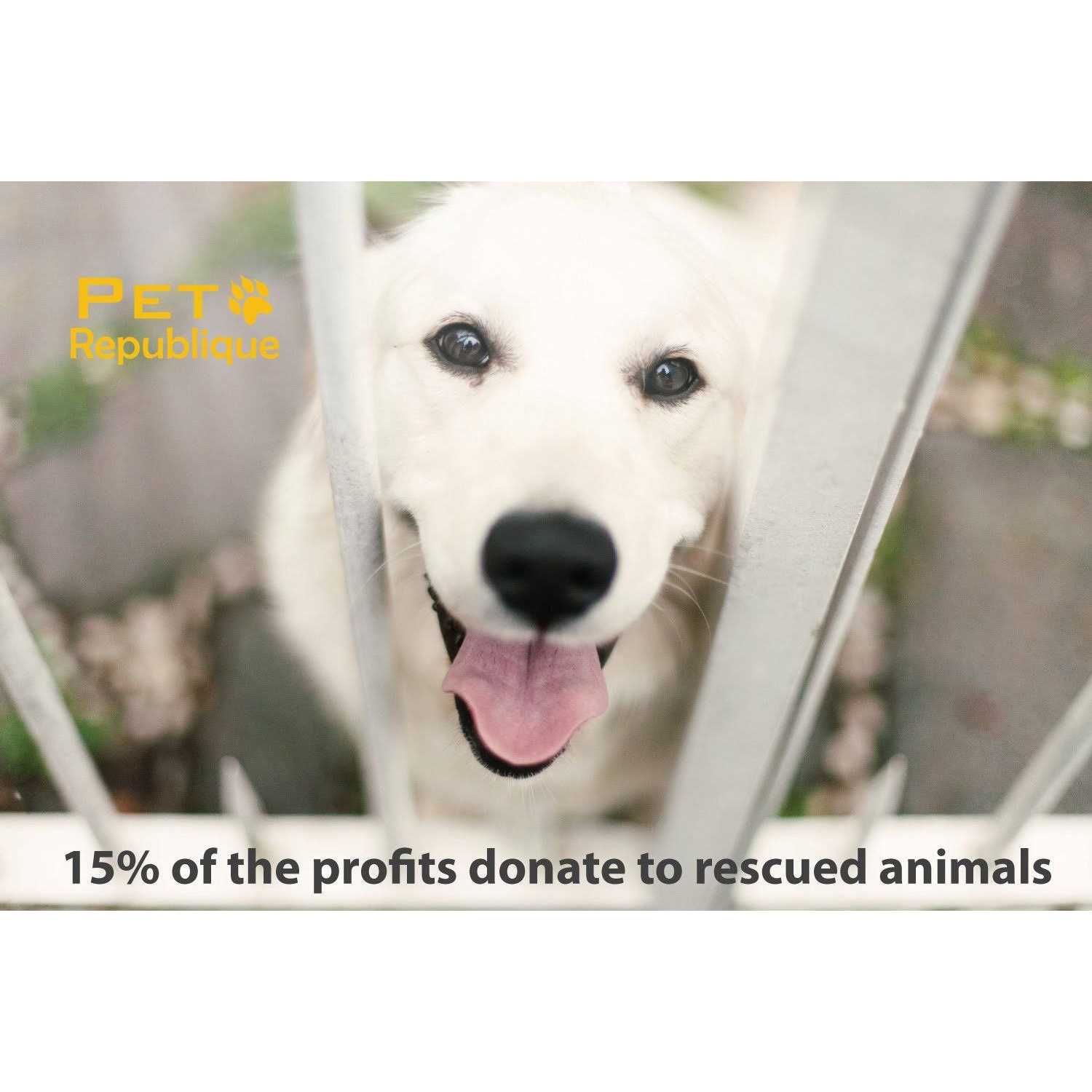 Pet Republique Cordless Dog & Cat Nail Grinder & Nail Clippers - Nail Gallerys