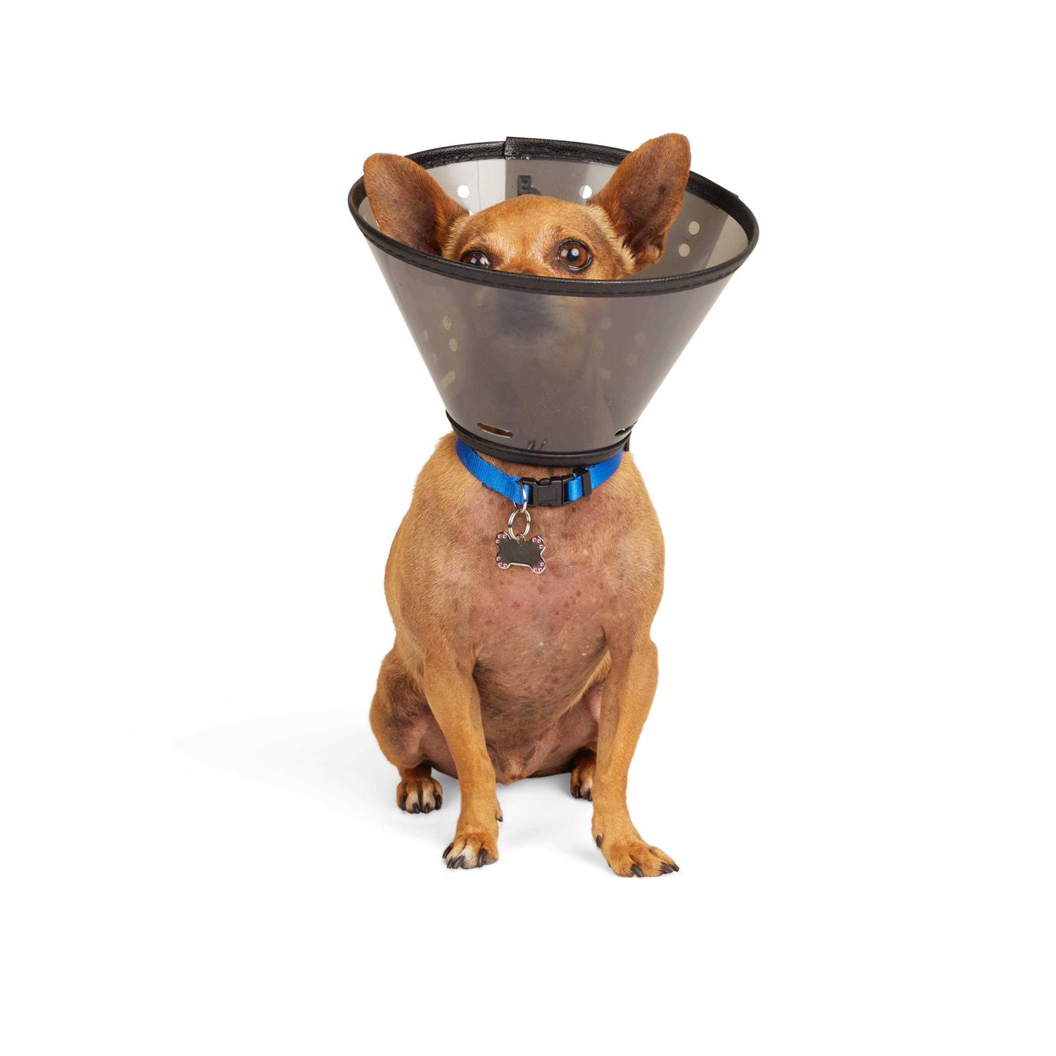 Well & Good Recovery Cone Collar - Nail Gallerys