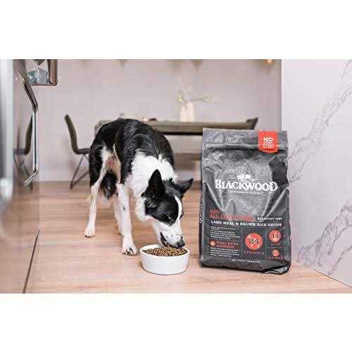 Blackwood All Life Stages Food - Nail Gallerys