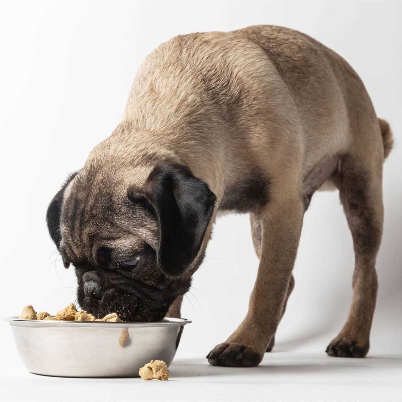 Dr Marty Nature’s Blend Sensitivity Select Freeze Dried Dog Food - Nail Gallerys