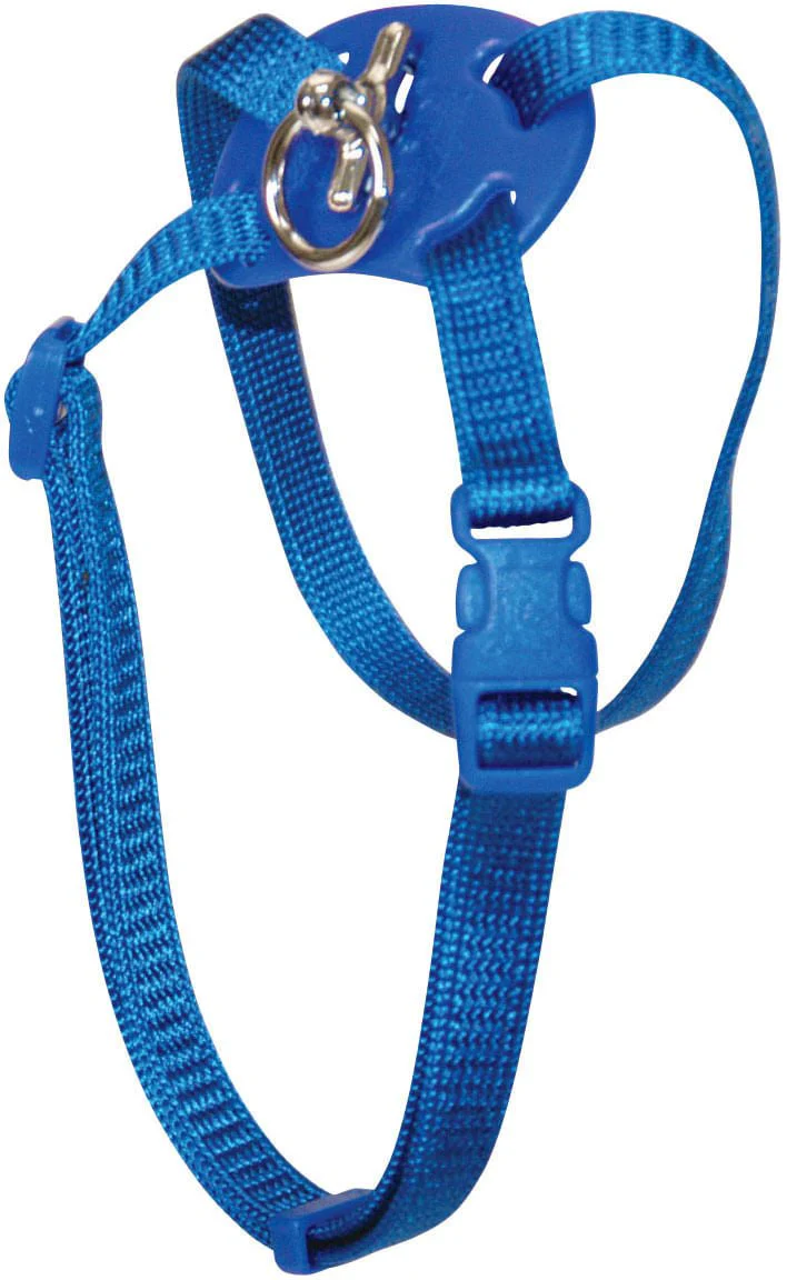 Size Right! Adjustable Cat Harness - Nail Gallerys