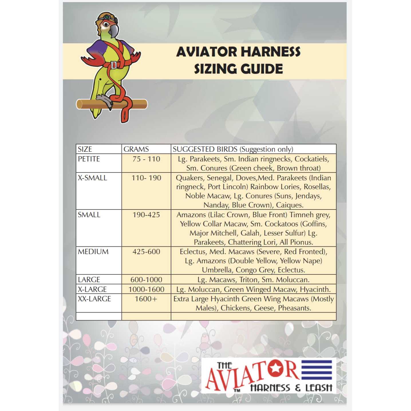 The Aviator Bird Harness and Leash - Nail Gallerys