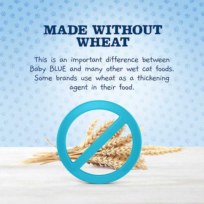 Blue Buffalo Baby Blue Healthy Growth Formula Chicken Recipe Wet Kitten Food - Nail Gallerys