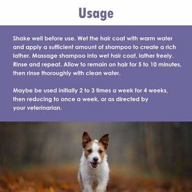 ChloraSeb Antiseptic Dog Shampoo - Nail Gallerys