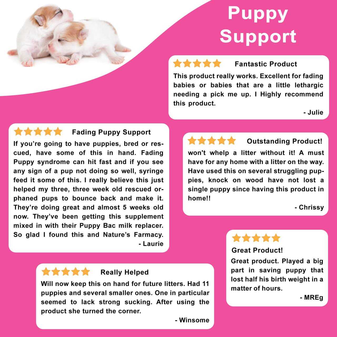 Dogzymes Fading Puppy Support - Nail Gallerys