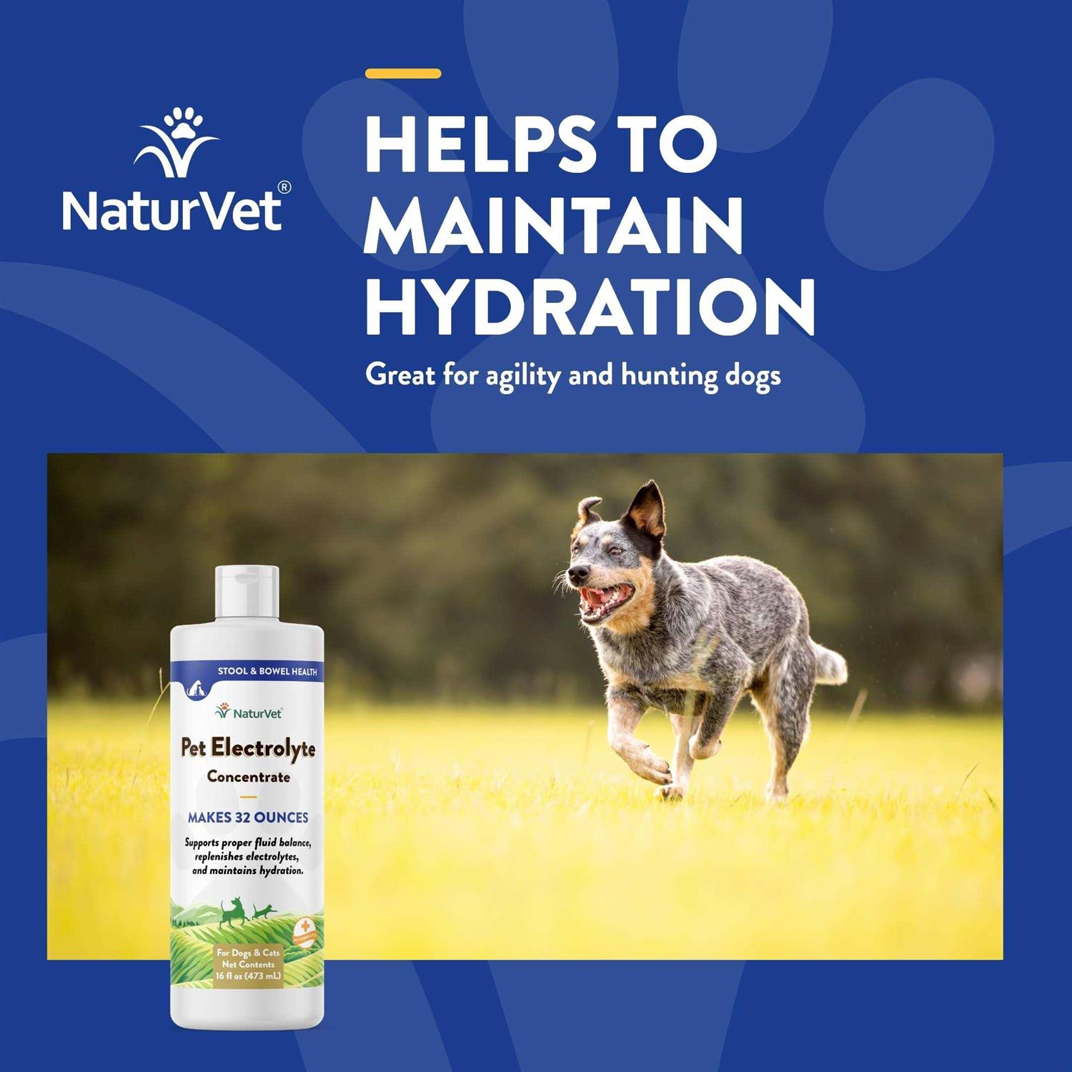 NaturVet Pet Electrolyte Concentrate 16 oz for Dogs & Cats - Nail Gallerys