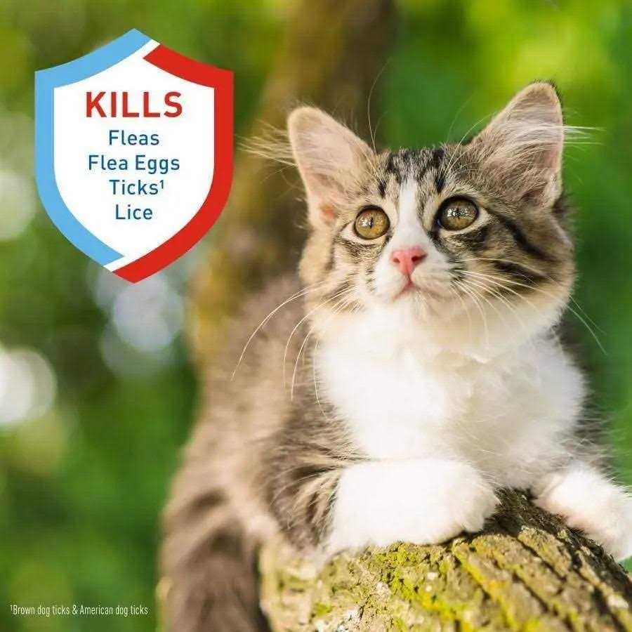 Adams Plus Flea Tick Shampoo - Nail Gallerys