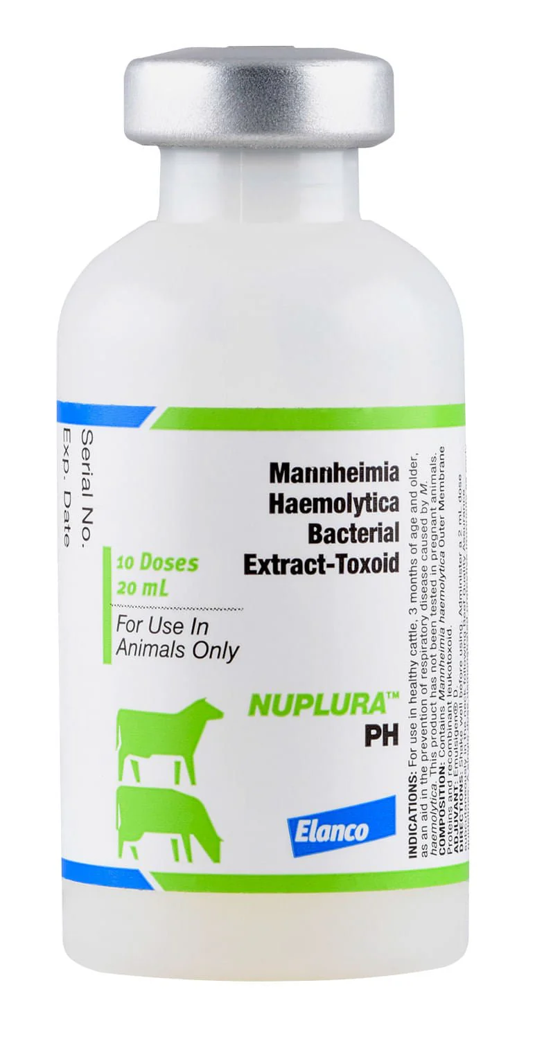 NUPLURA PH - Nail Gallerys