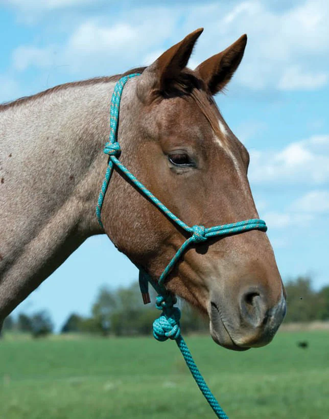 Weaver Leather Diamond Braid Rope Halter with Lead - Nail Gallerys