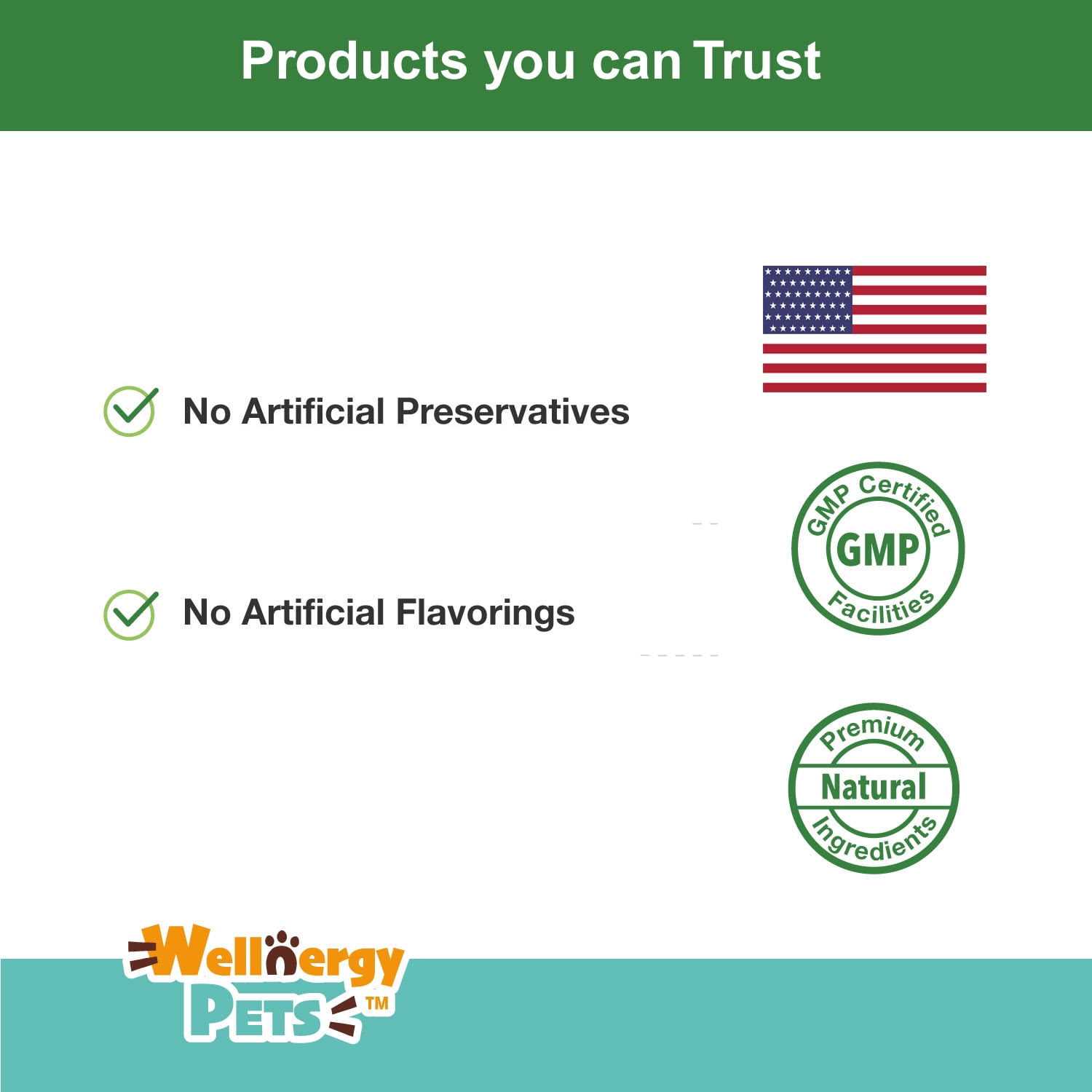 Wellnergy Pets Anti-Diarrhea for Dogs and Cats with Syringe - Nail Gallerys